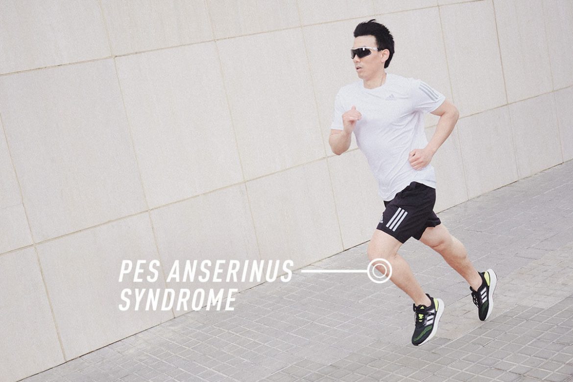 anserinus_syndrome_bp-1.jpg